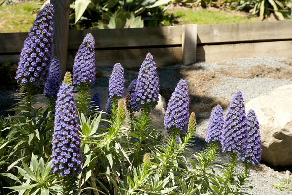 Rénover votre jardin pour les enfants: idées créatives et sécurisées